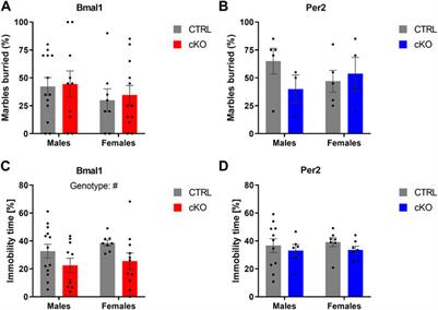 Characterization of Affective Behaviors and Motor Functions in Mice With a Striatal-Specific Deletion of Bmal1 and Per2